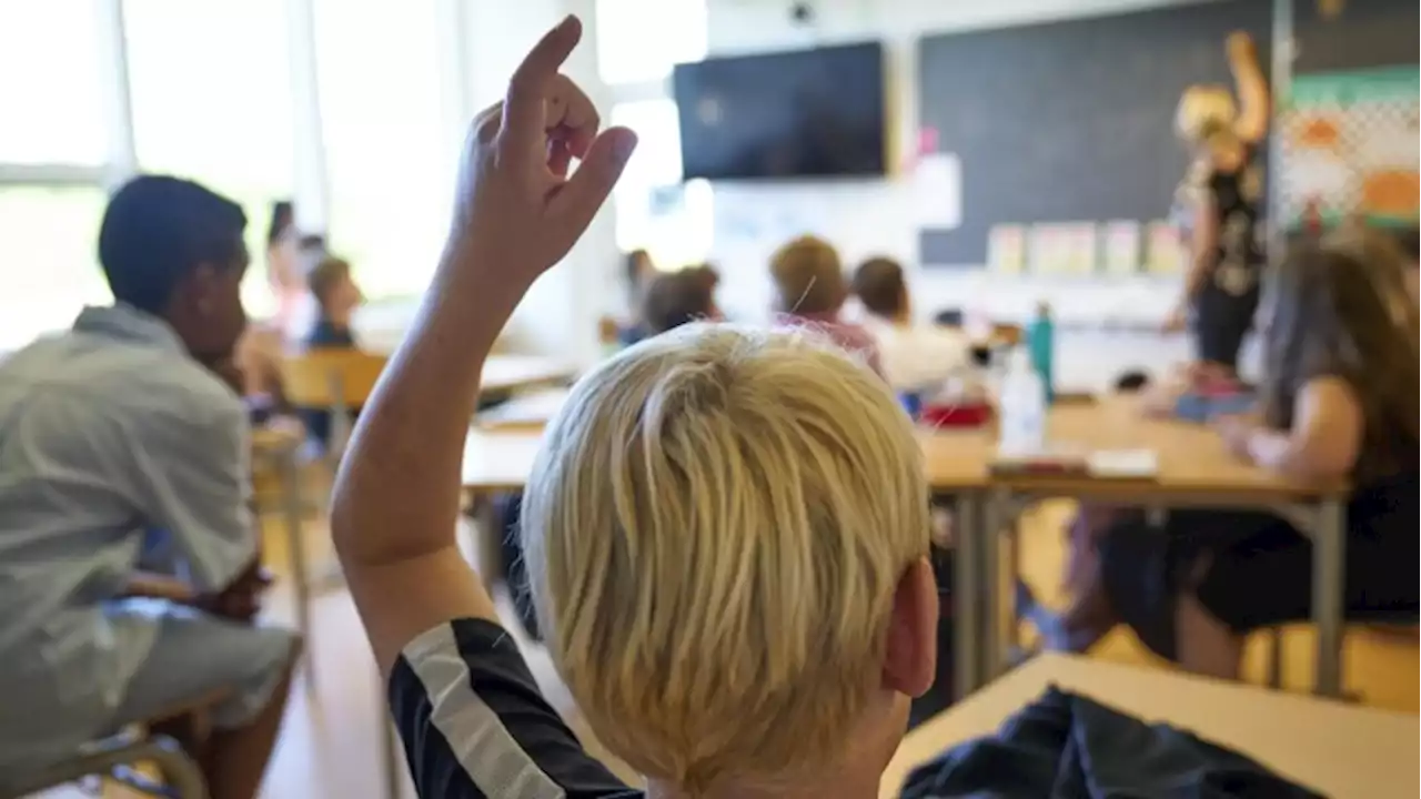 Danske lærerkredse i fælles opråb: Deler en 'stærk bekymring' for den danske folkeskole