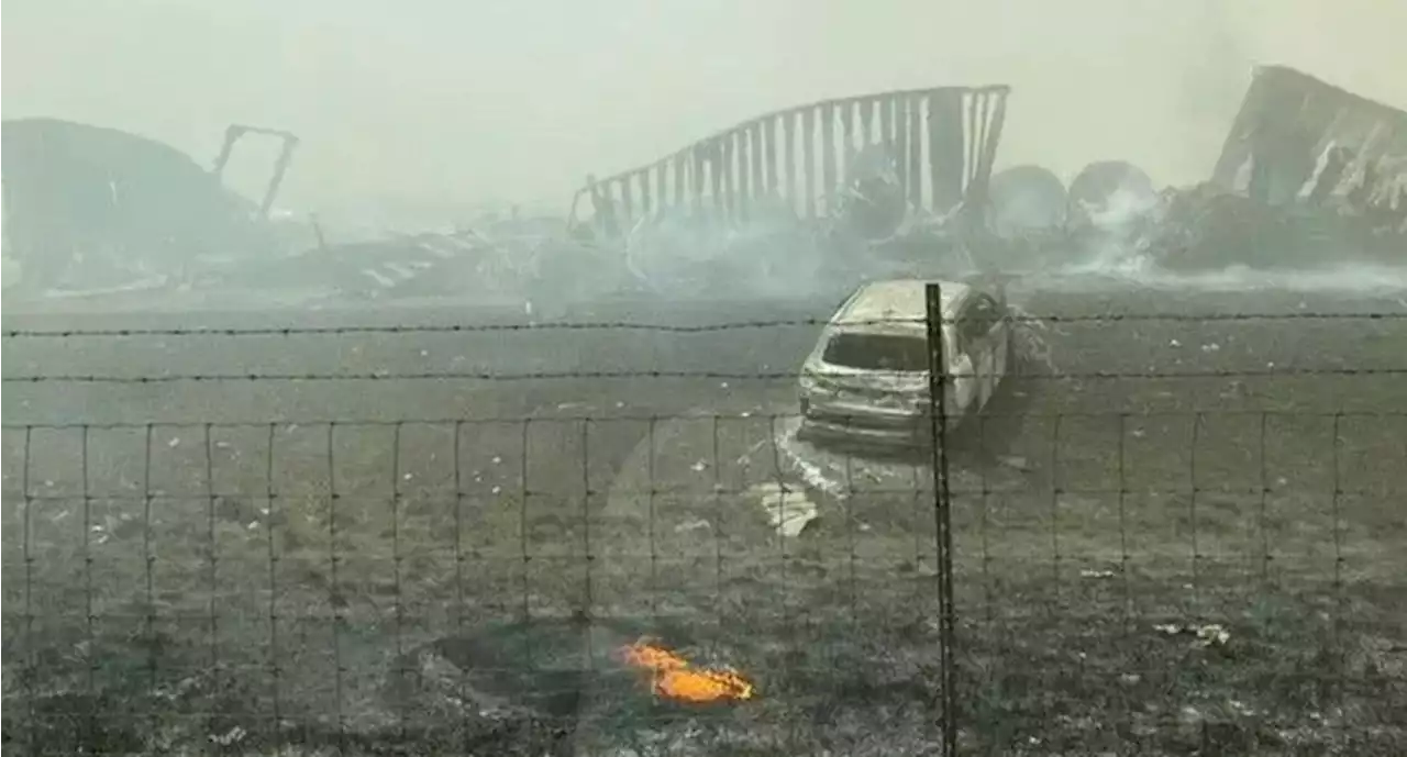 Reportan muertos y heridos en accidente múltiple por tormenta de arena en EU