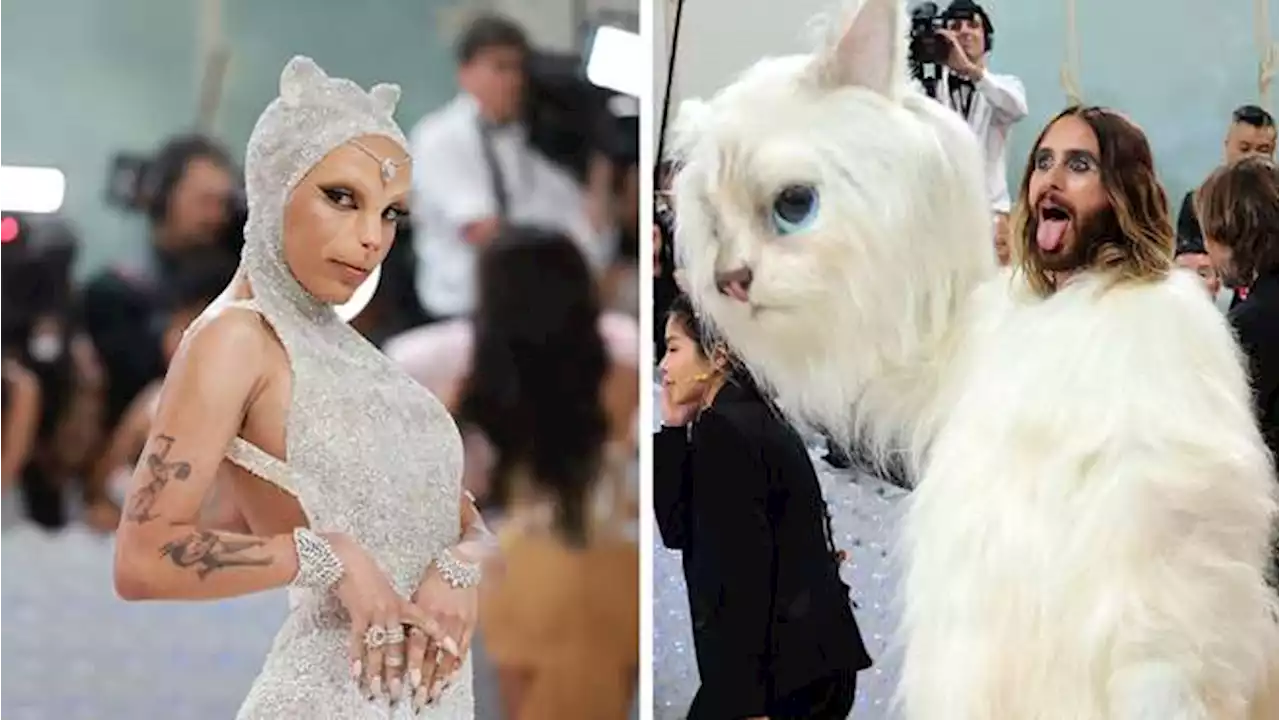 ¿Por qué Doja Cat y Jared Leto asistieron a la gala del MET vestidos de gatos?