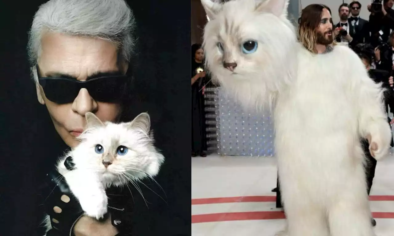 Choupette, la gata heredera de Karl Lagerfeld que Jared Leto homenajeó en la Met