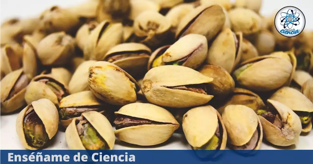 El impresionante motivo por el que los nutriólogos están recomendando desayunar pistachos todos los días