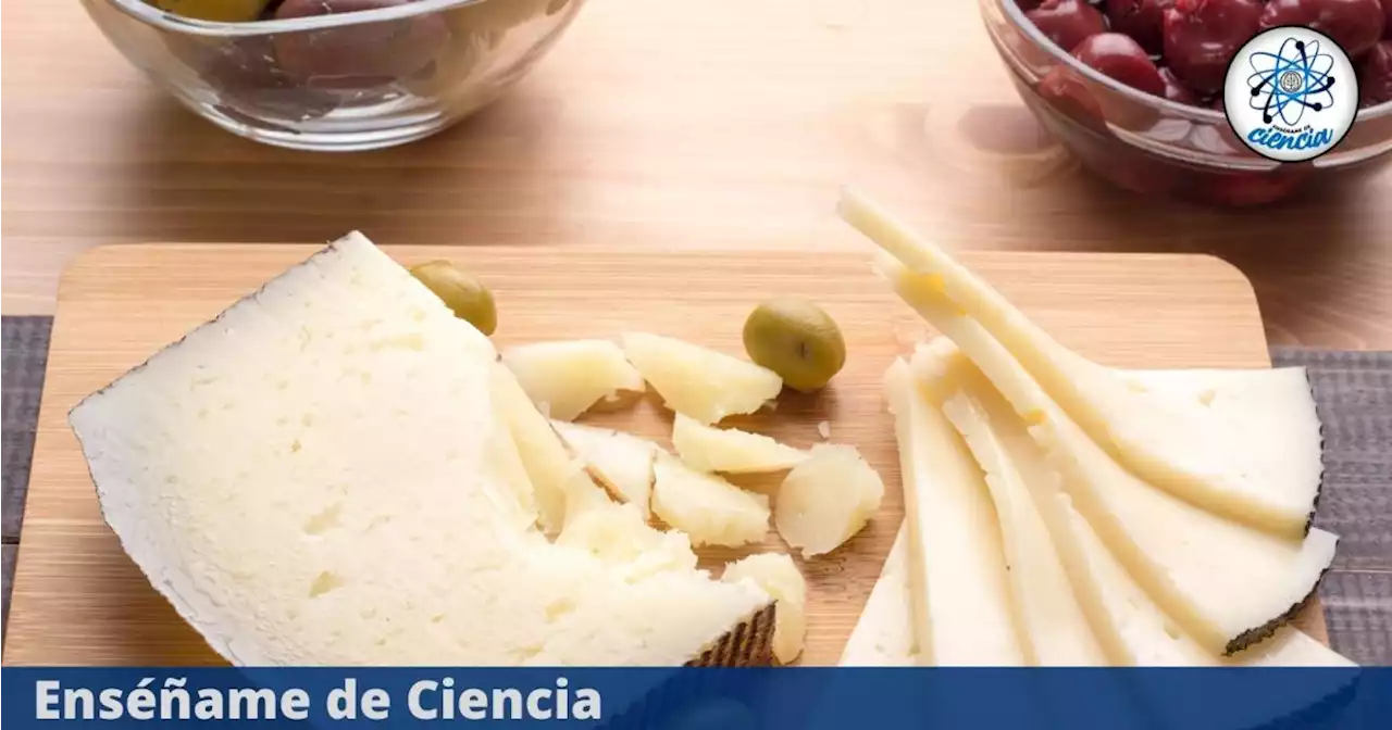 PROFECO: Queso manchego, marcas que mienten a los consumidores, reprobaron las pruebas