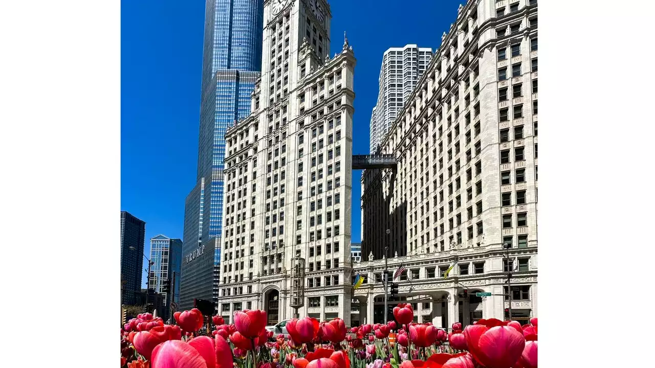 Be patient Chicago because 70s and 80s are finally back in the forecast