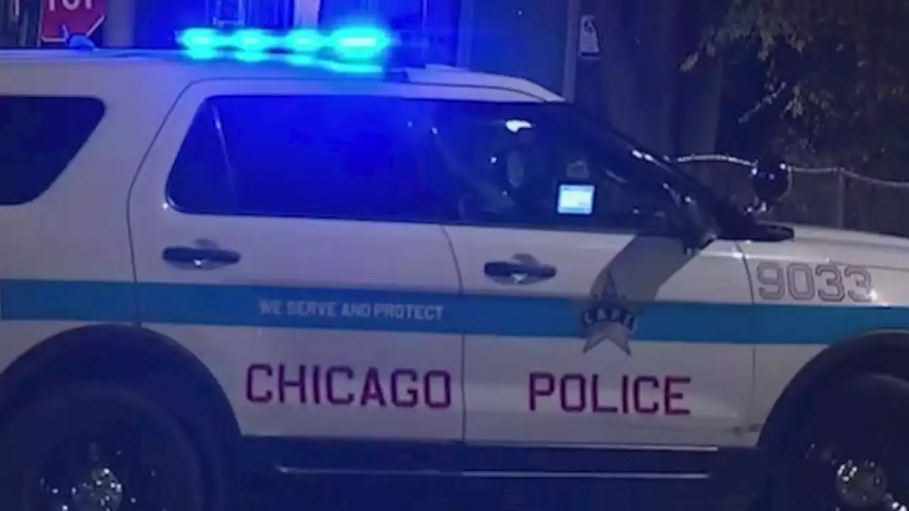 Driver crashes into CPD squad car in Gage Park