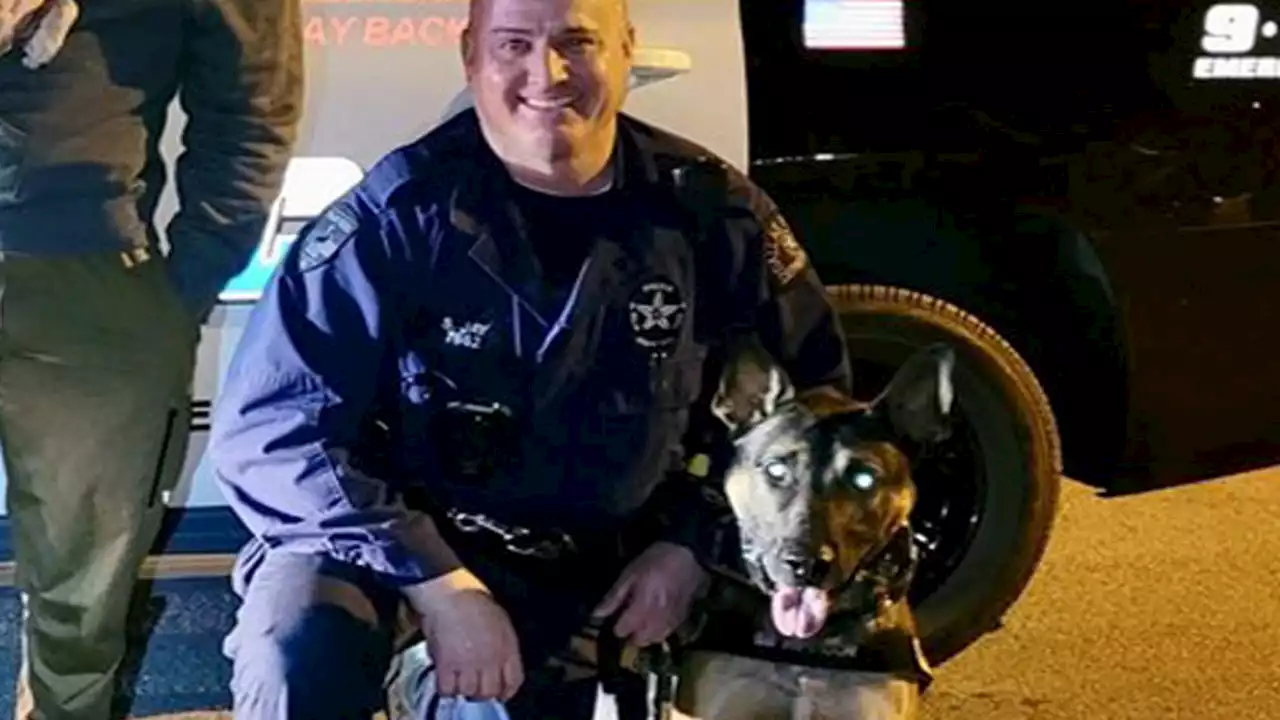 Dallas police dog helped save officer's life in shootout, chief says