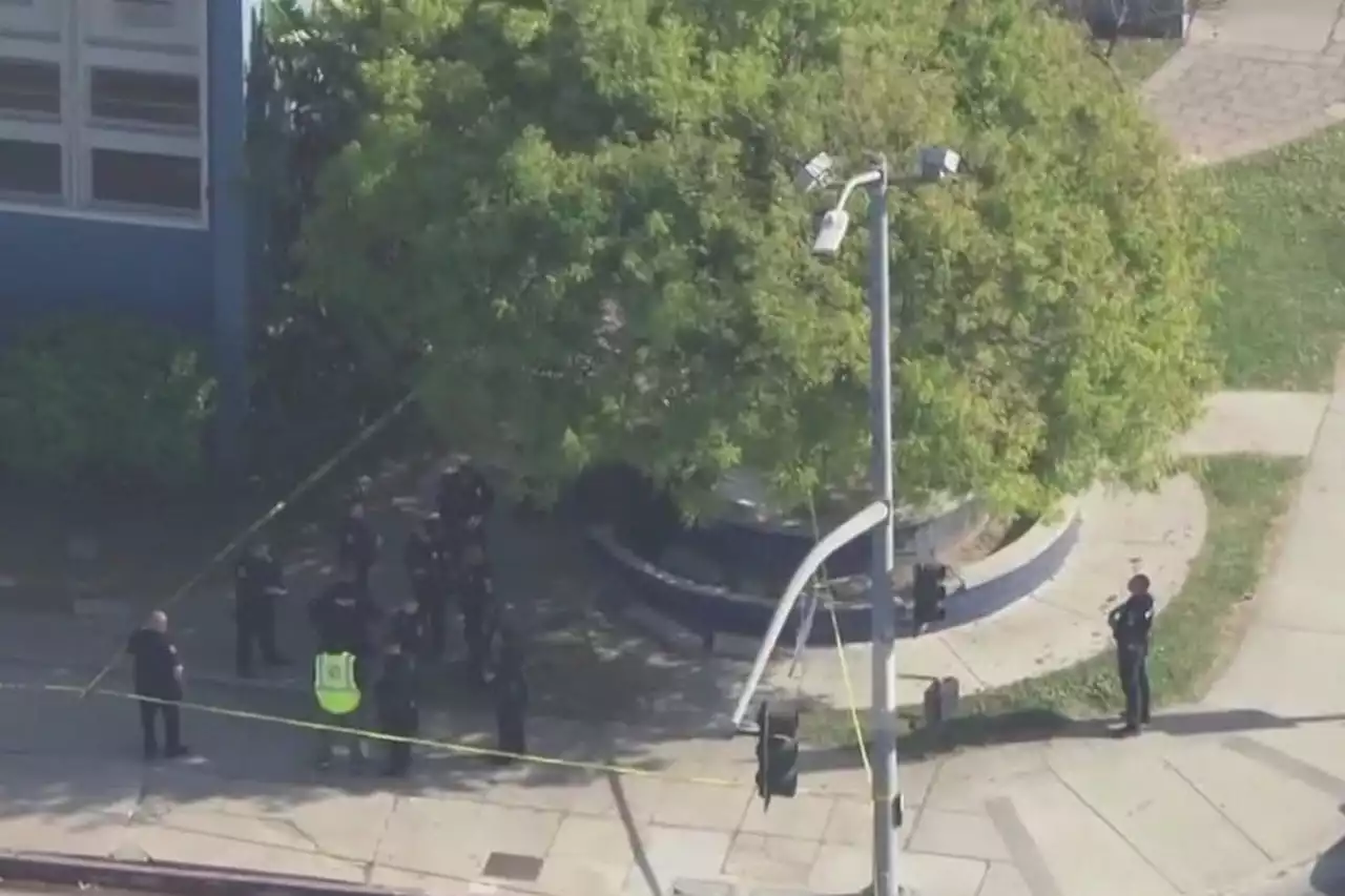 LAPD: 2 stabbed near Los Angeles high school in 'senseless' violence