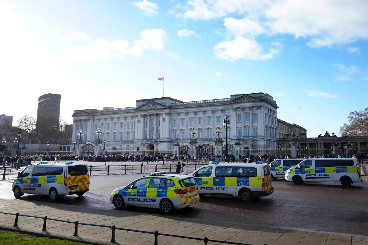 Man gripen vid Buckingham Palace