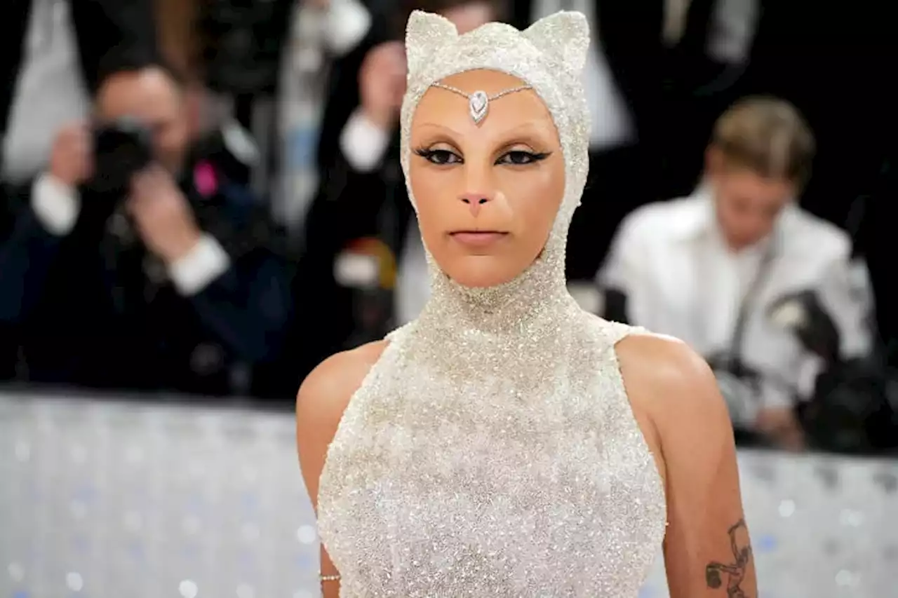 The Funniest (Mostly Cat-Related) Memes From Last Night’s Met Gala