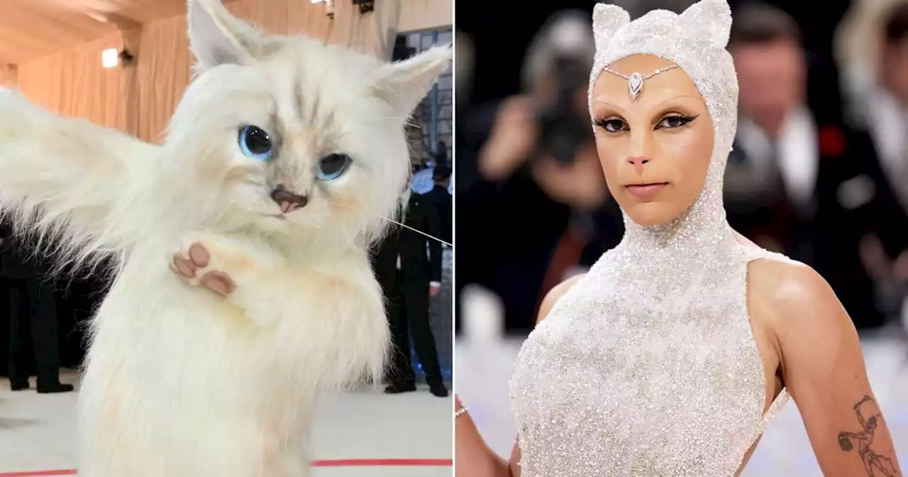 These Celebs Brought Some Real Feline Energy To The Karl Lagerfeld-Themed Met Gala