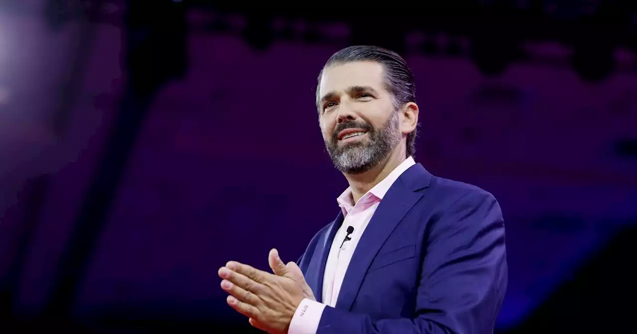 Donald Trump Jr slams Ireland's proposed hate speech legislation