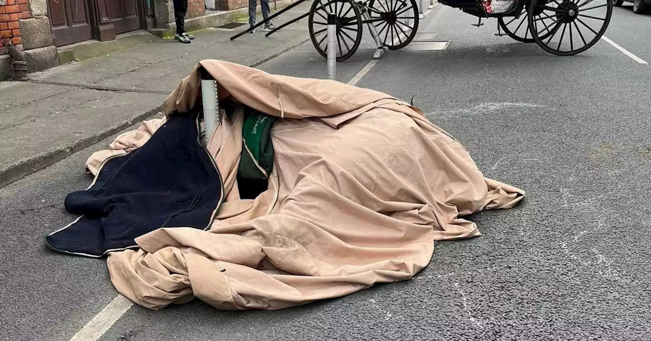 Heartbreaking scene in Dublin as horse put to sleep after collapsing on street