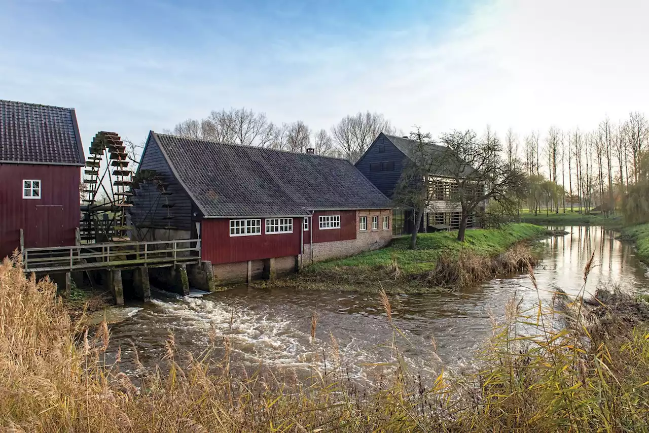 Aux Pays-Bas, sur les routes du Brabant natal de Vincent van Gogh