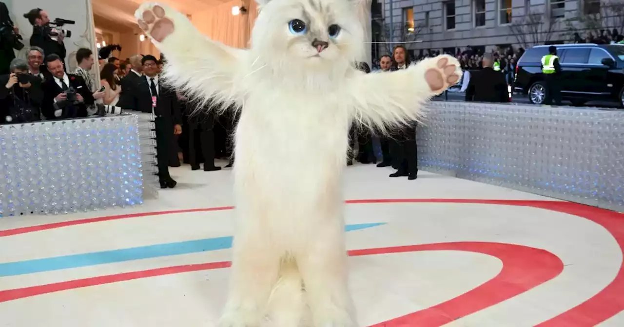 Choupette, la gata de Karl Lagerfeld personificada por Jared Leto en la Met Gala 2023