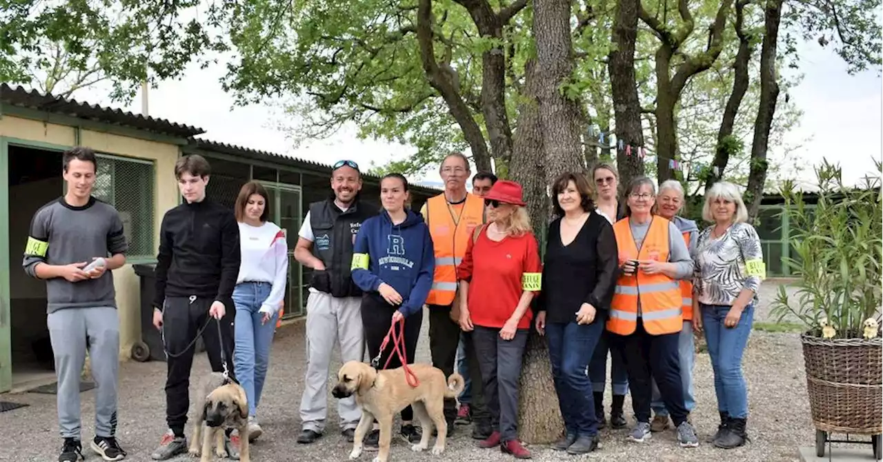 Sisteron : le refuge canin a ouvert ses portes pour faire connaitre l'association