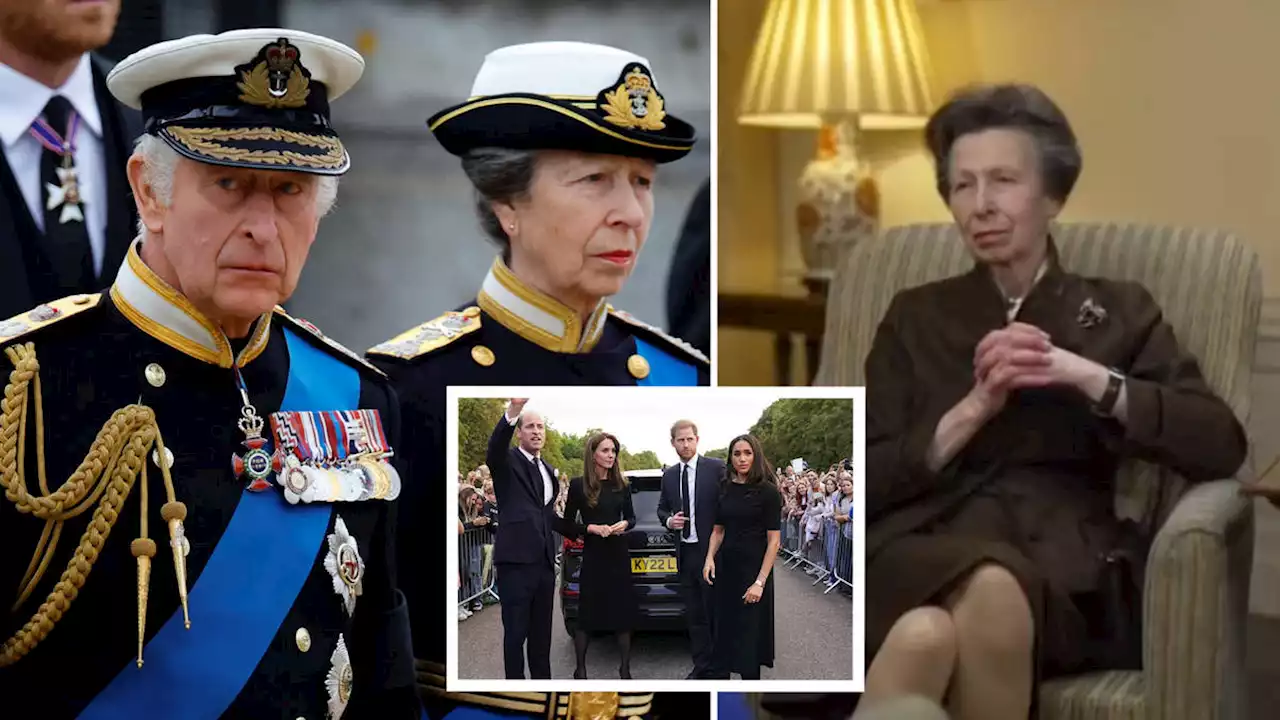 Princess Anne says slimmed-down monarchy 'doesn't sound like a good idea'