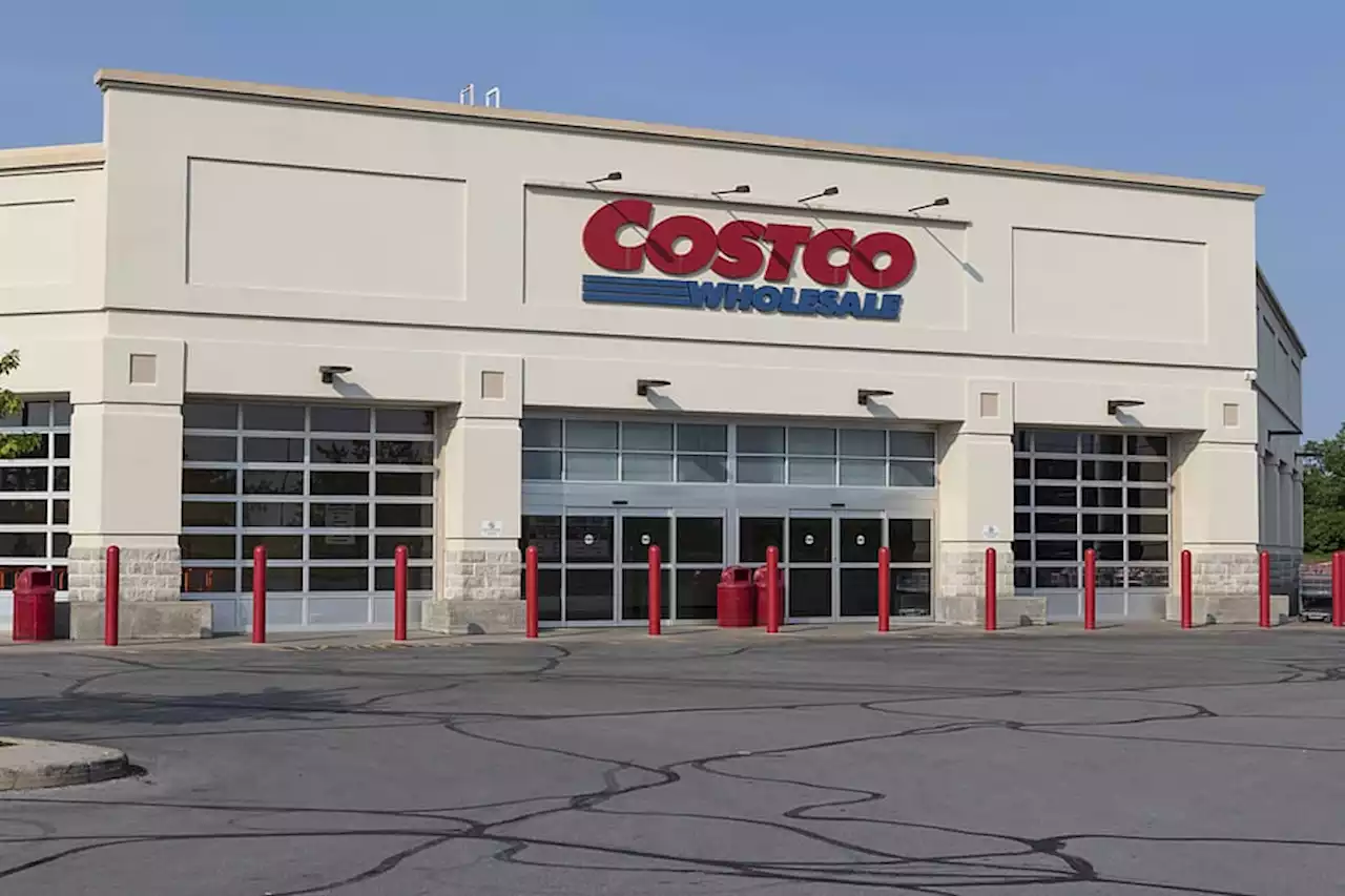 ¿Costco ya vende departamentos? Casita de madera se viraliza