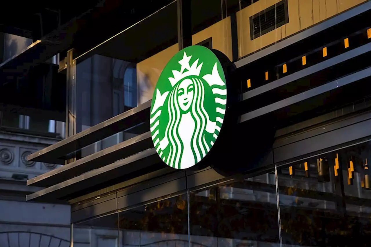 Taza viral de Starbucks: 50% más barata si eres influencer en TikTok