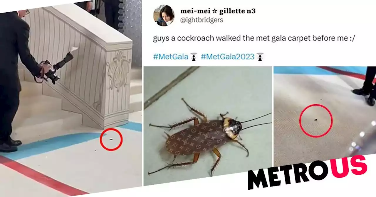 Cockroach 'steals the show' at Met Gala 2023 after gatecrashing red carpet