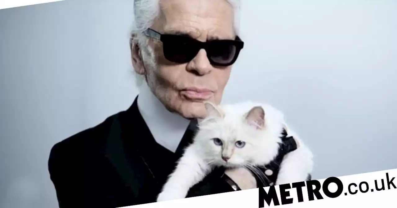 Yep, Karl Lagerfeld's cat Choupette is actually going to be at the Met Gala