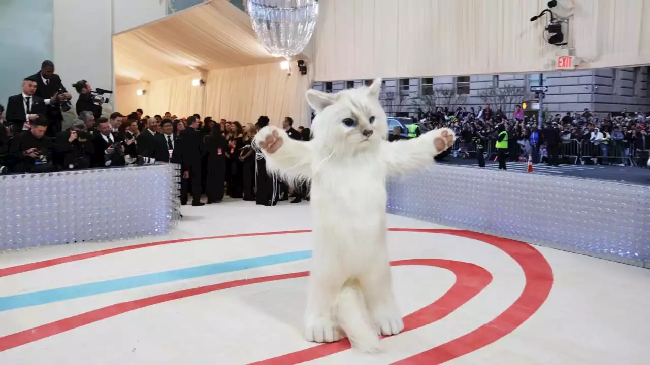 FOTOS: ¡En honor a Choupette! Jared Leto se disfraza de gato para la Met Gala | Minuto30