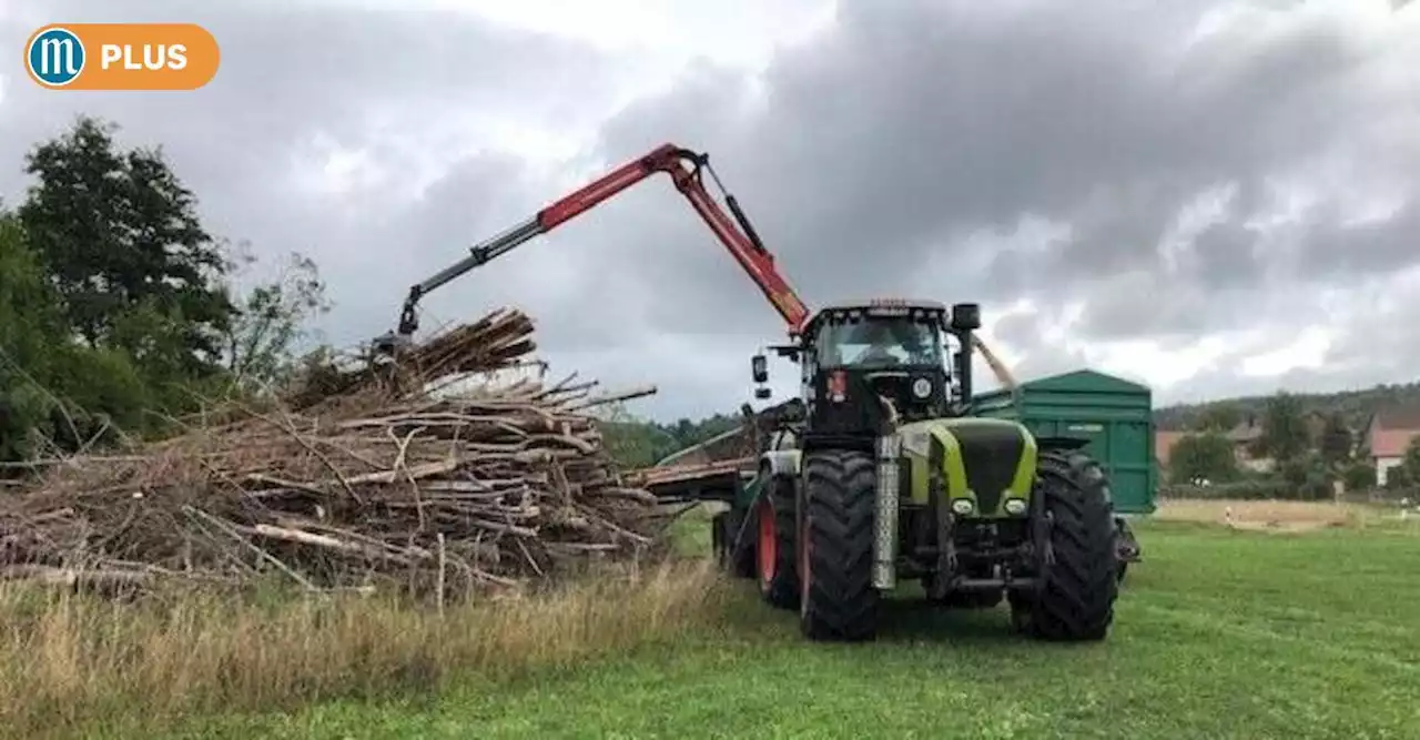 Gebäude-Energie-Gesetz beunruhigt Waldbesitzer aus Abensberg