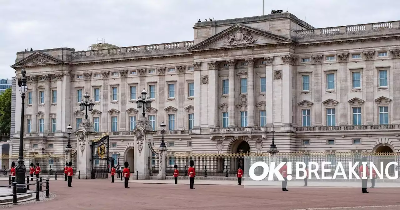 Man arrested before Coronation after 'throwing shotgun cartridges into Palace'