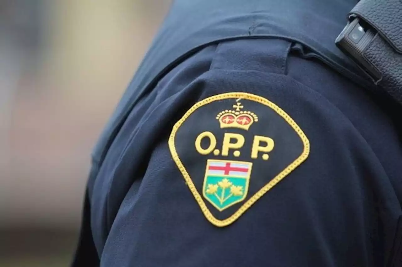 LILLEY: Ontario school board bans cops until shamed by public outrage