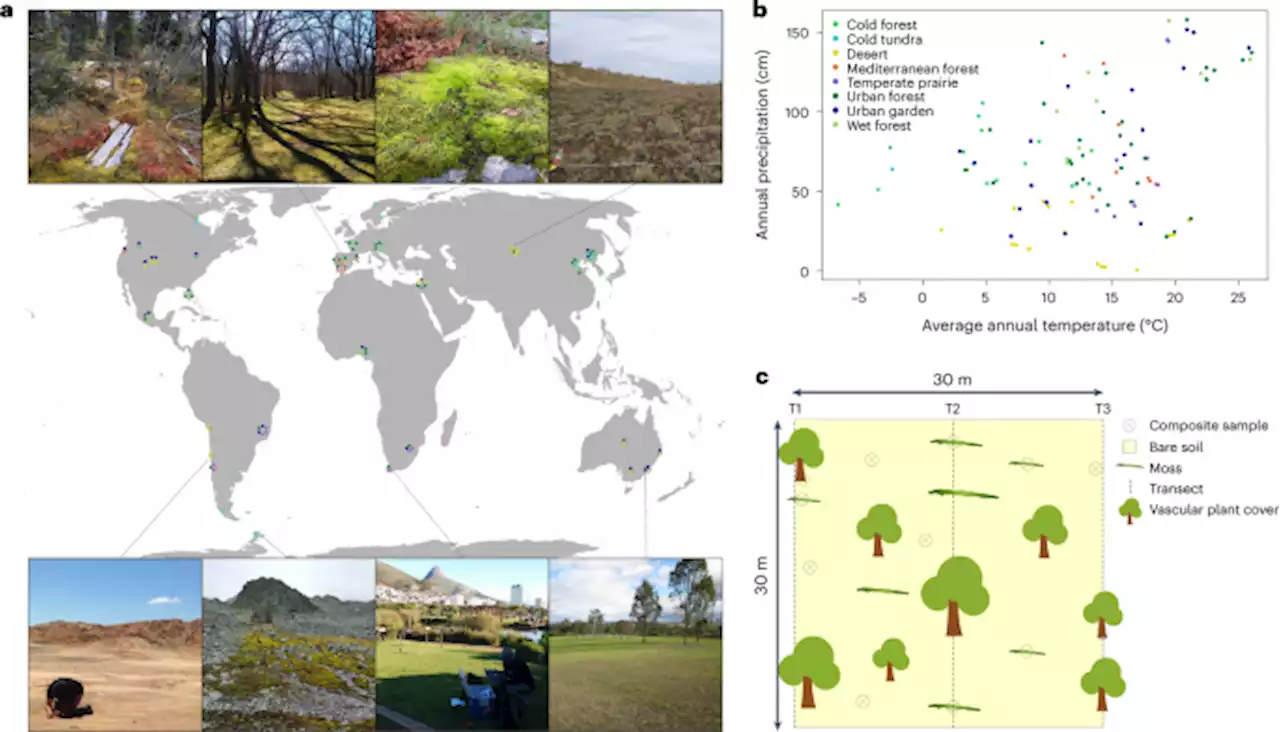 The global contribution of soil mosses to ecosystem services - Nature Geoscience