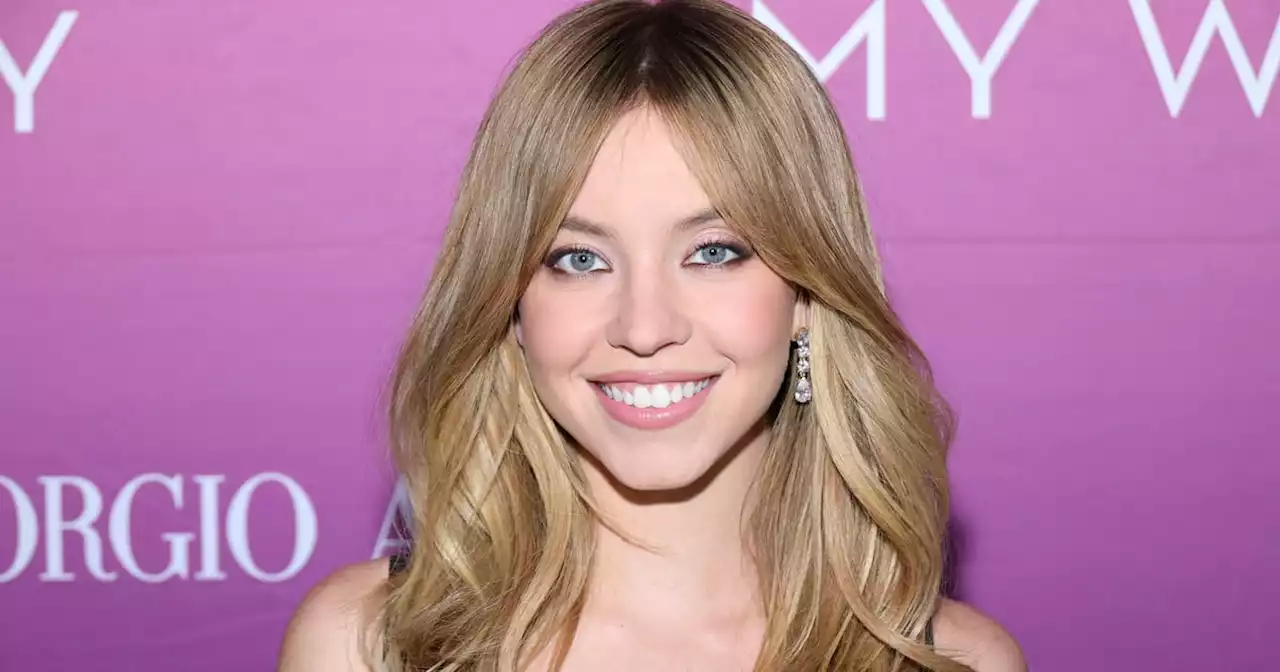 Sydney Sweeney Wears a Bra and Briefs With a Totally See-Through Skirt