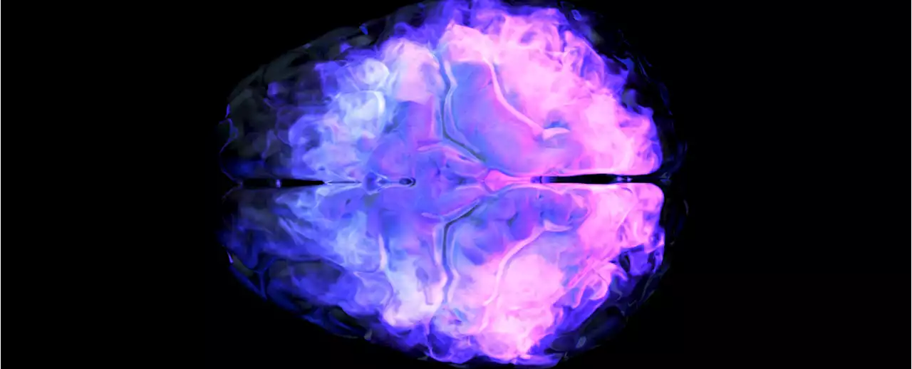 Mysterious Surge of Activity Detected in The Brains of Dying People