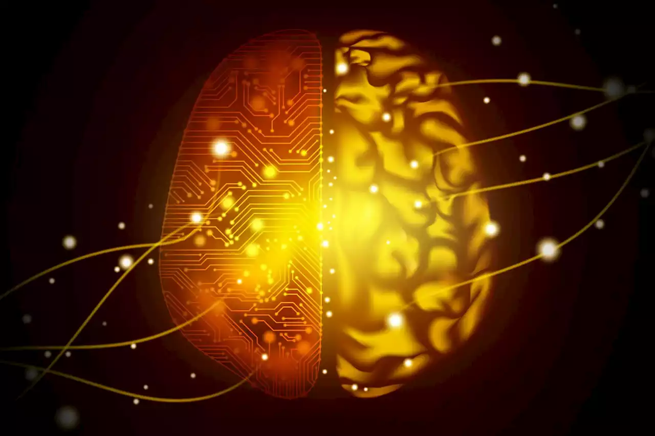 Not Science Fiction: Brain Activity Decoder Transforms Thoughts Into Text