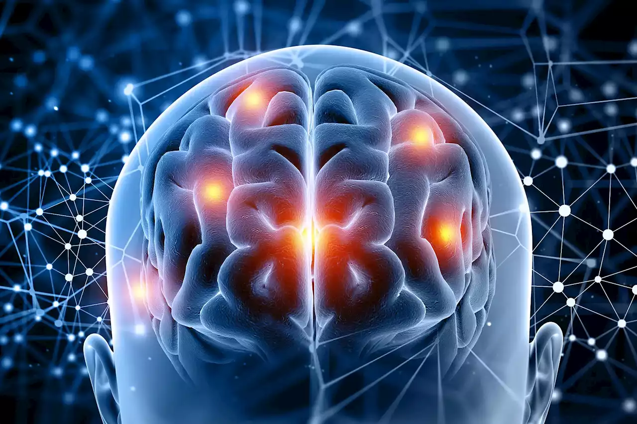 The Babel of Brains: Decoding Sound Recognition With Machine Learning