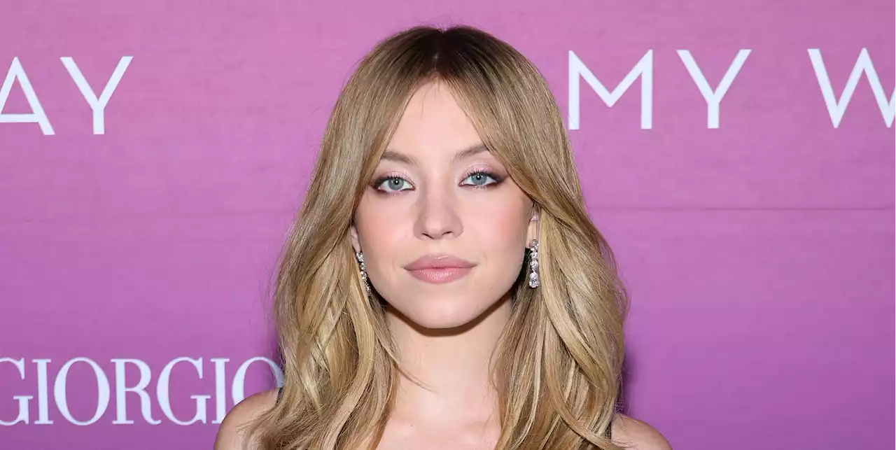 Sydney Sweeney Spotted on Date Night with Fiancé Jonathan Davino Amid Break-Up Rumors