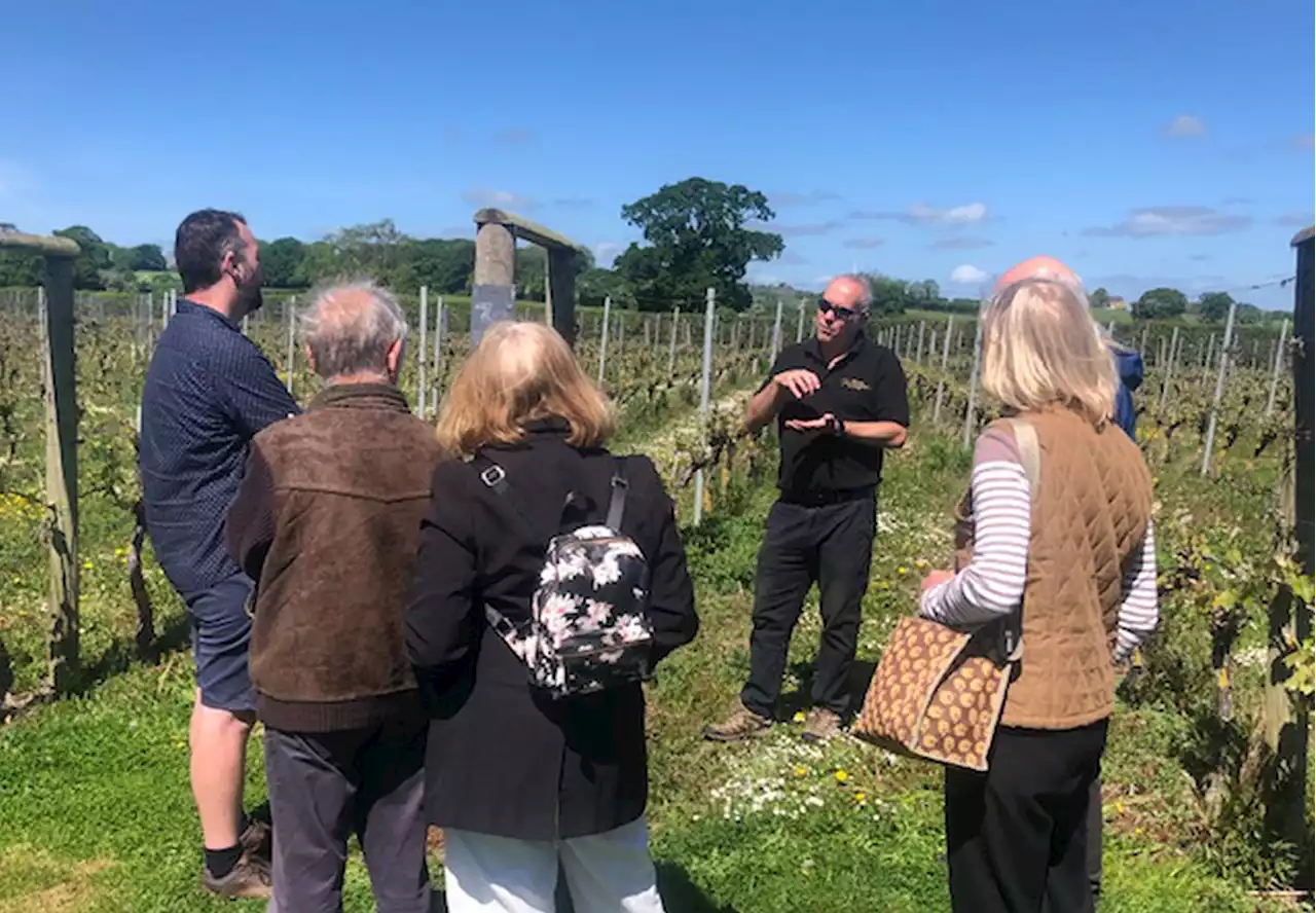 Shropshire vineyard to launch its popular wine tours this May