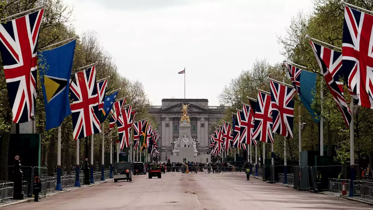 Man arrested after 'shotgun cartridges' thrown into Buckingham Palace grounds