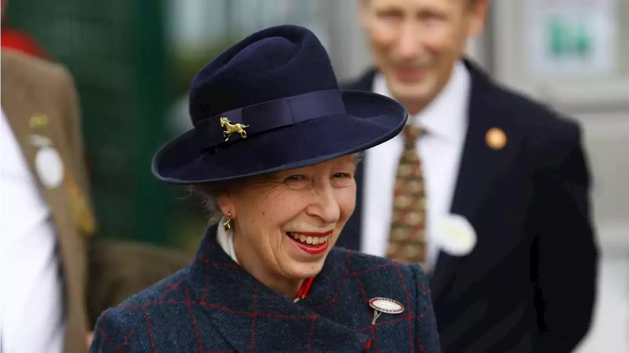 Surprise! Princess Anne Not in Favor of More Royal Cutbacks