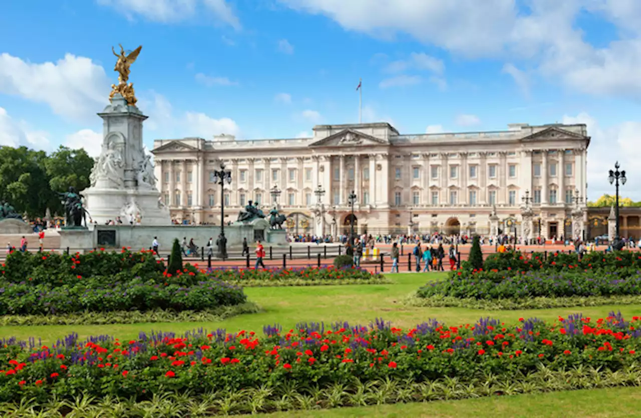 Man arrested after throwing suspected shotgun cartridges into Buckingham Palace grounds