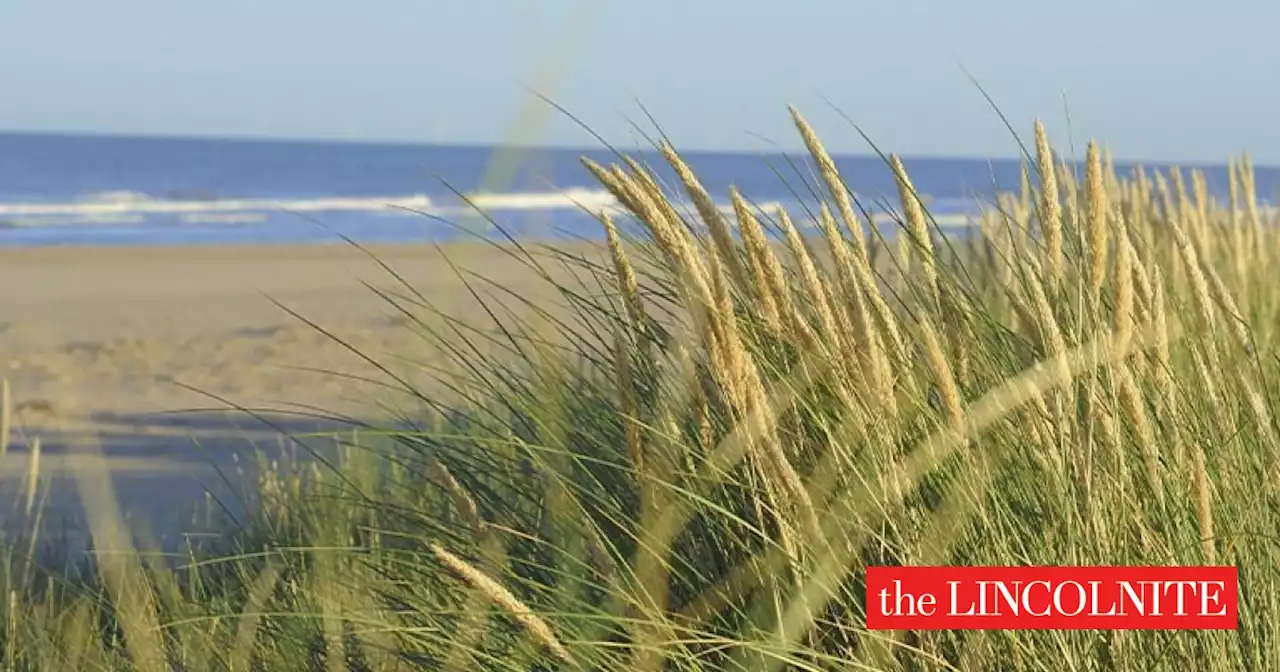 Lincolnshire coast chosen as King's first nature reserve