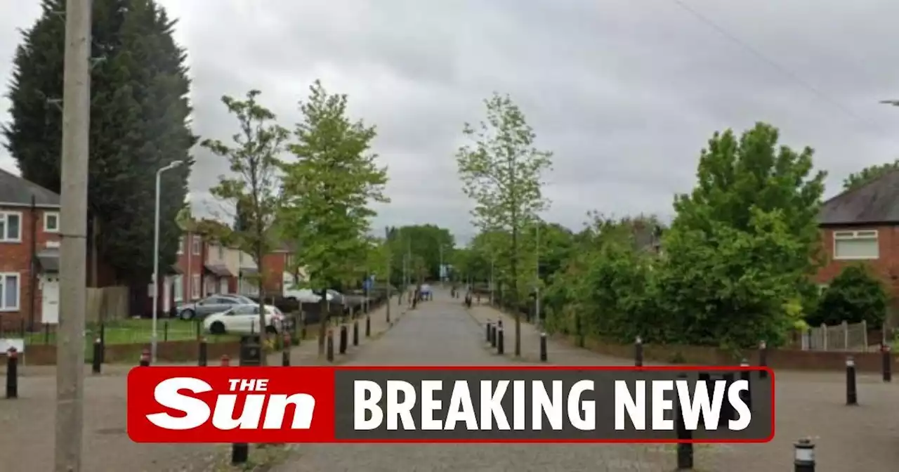 Girl, 11, and boy, 15, shot in park in 'shocking' broad daylight attack