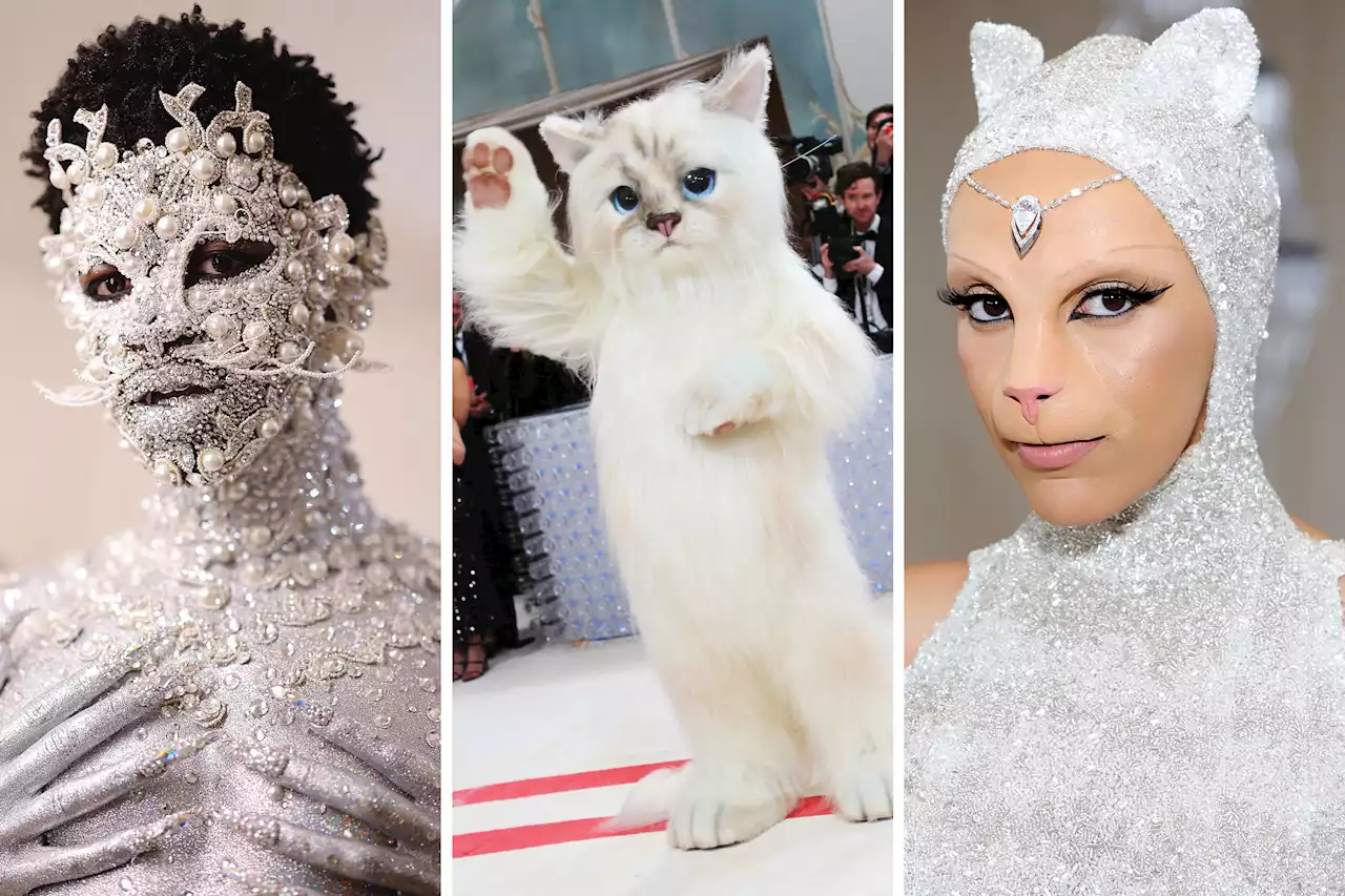 Why Cats Dominated The 2023 Met Gala Carpet