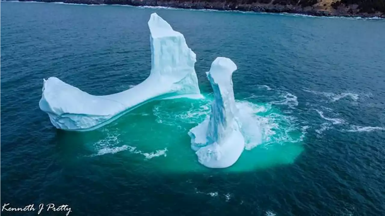 La foto de un pene de hielo da la vuelta al mundo