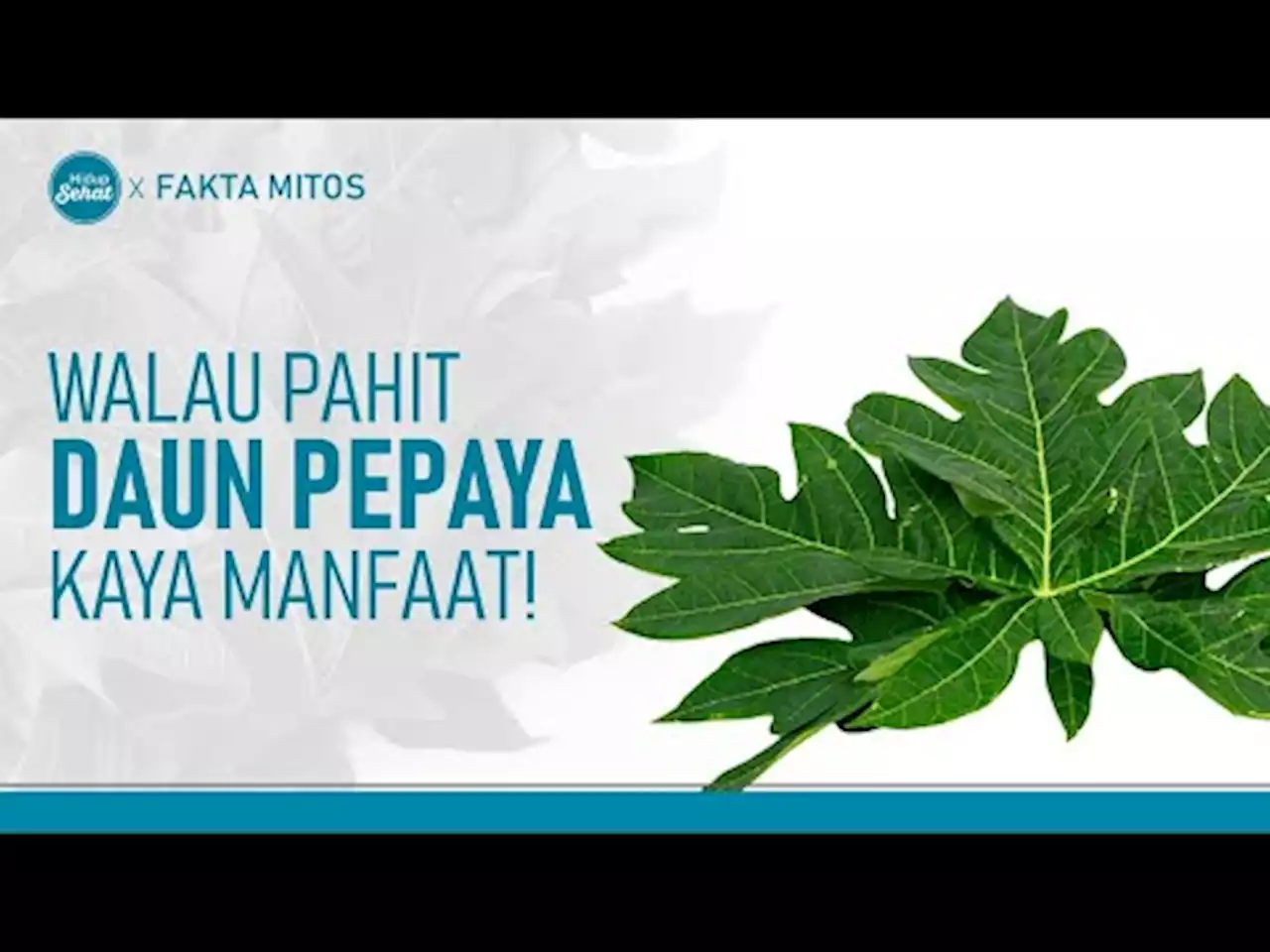 Dibalik Pahitnya Daun Pepaya, Ini Manfaatnya - tvOne