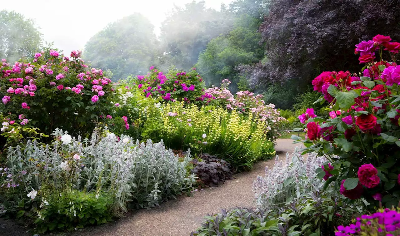 Jardines terapéuticos: la naturaleza para sanar mental y físicamente - UNAM Global