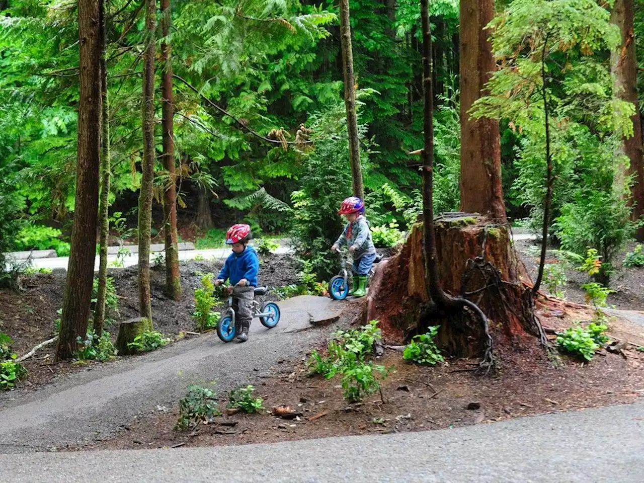 B.C. provides $10 million for new endowment fund for trails, parks, volunteers