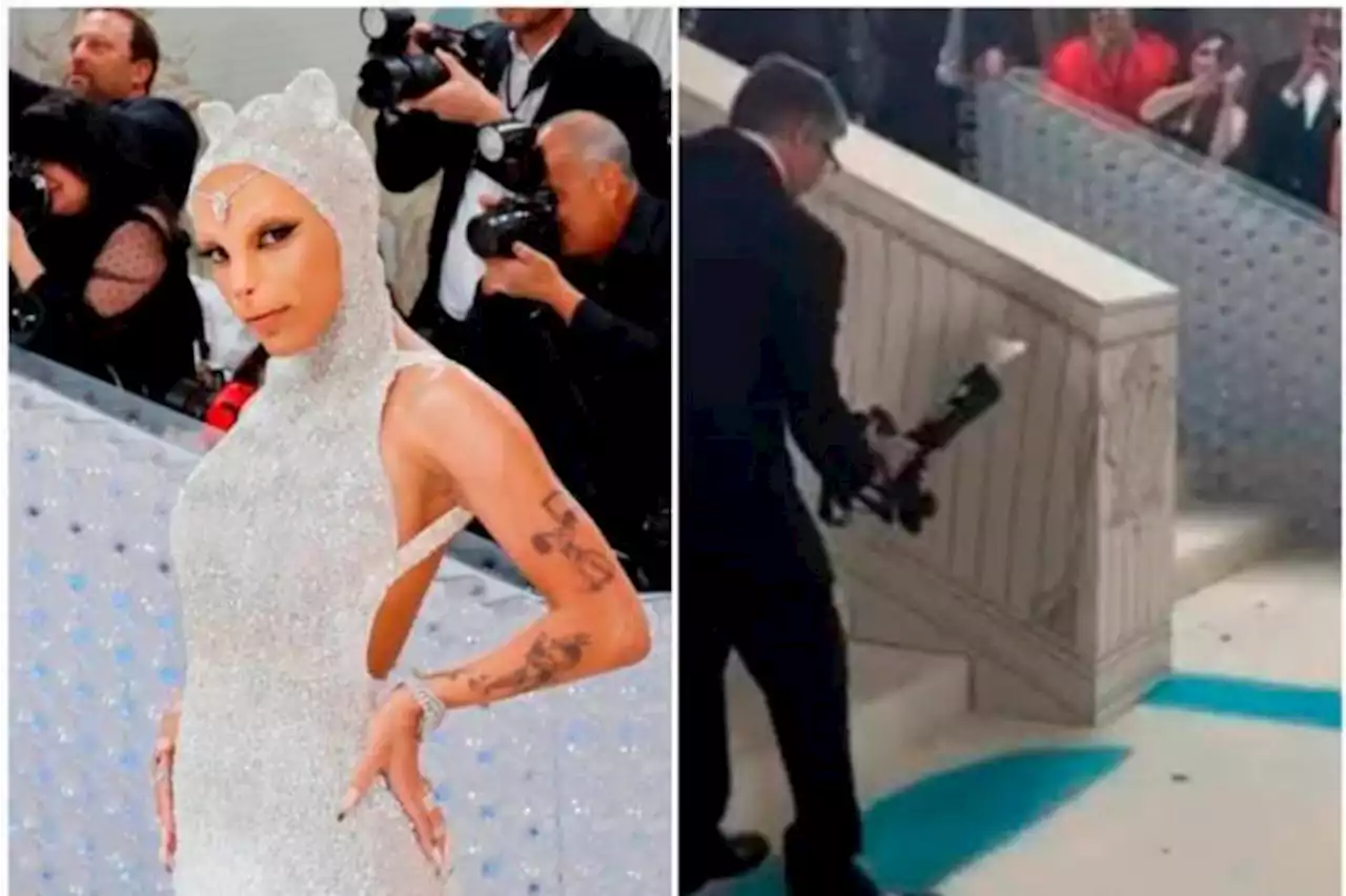 Un par de gatos, una cucaracha y otras curiosidades de la Met Gala 2023