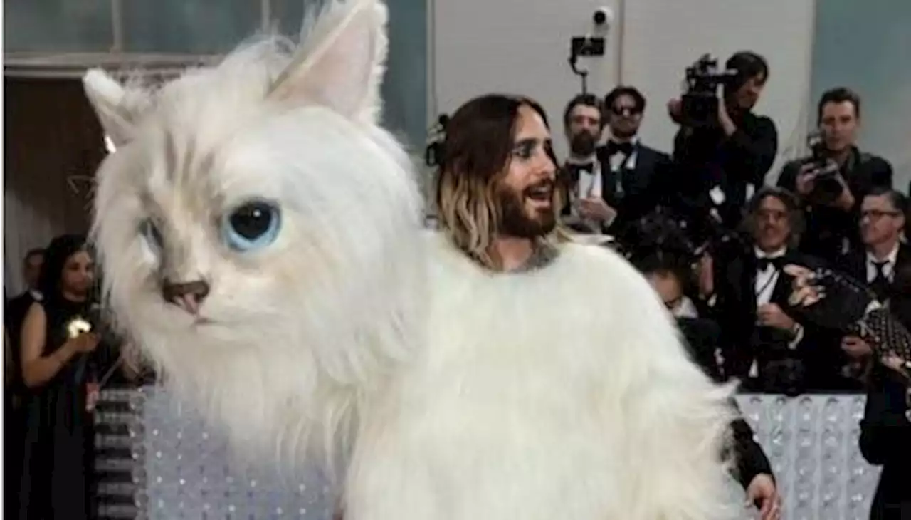 Jared Leto, vestido de gato, deslumbró en la Met Gala 2023