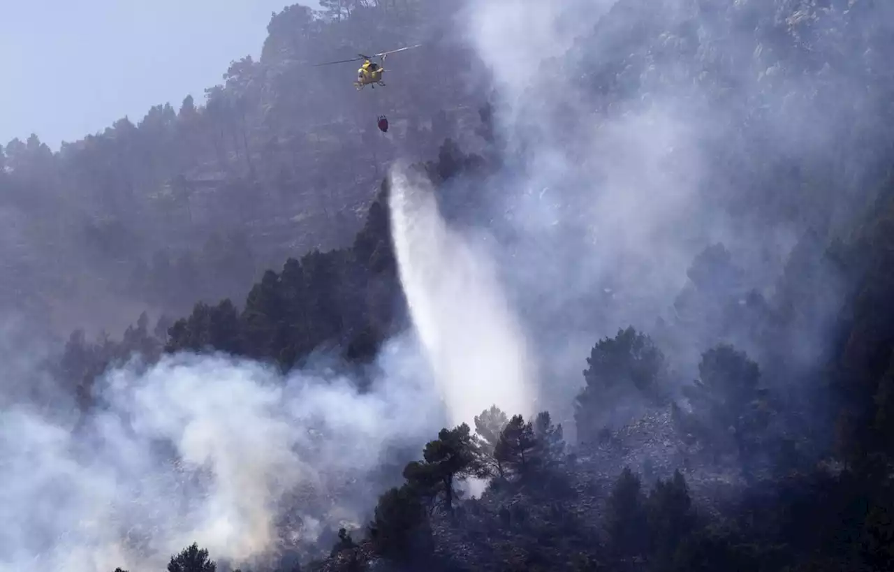 L’incendie en Espagne a déjà ravagé plus de 8.000 hectares