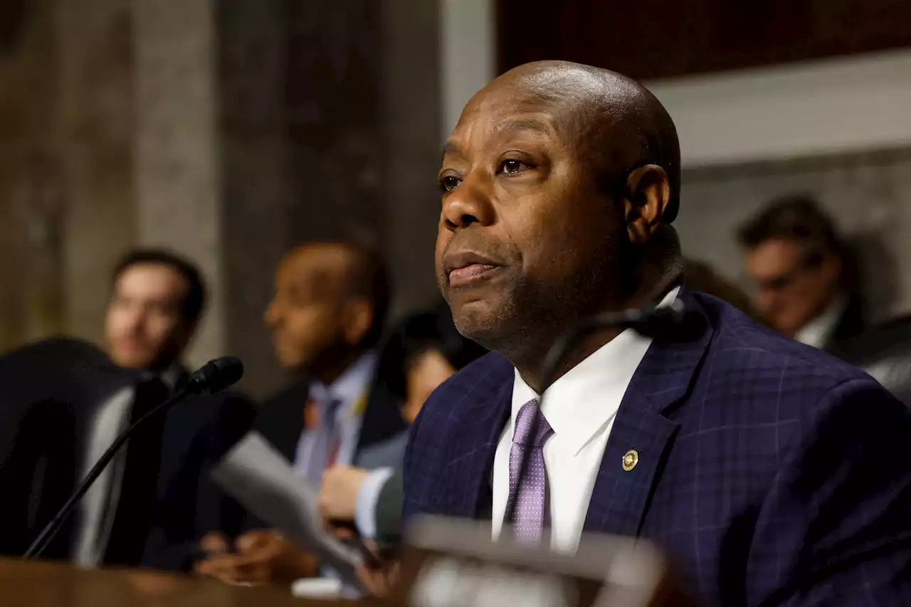 Wahlkampf in den USA – Senator Tim Scott will Präsidentschaftskandidat werden