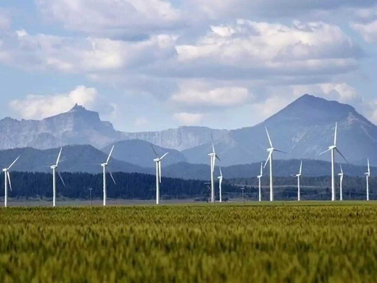 Varcoe: Alberta keeps leading Canada in renewable investment, while oil growth continues