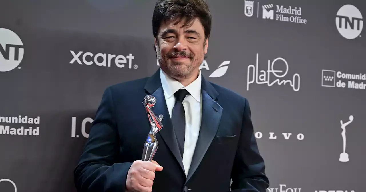 Benicio del Toro Joins Wes Anderson's Next Movie Cast